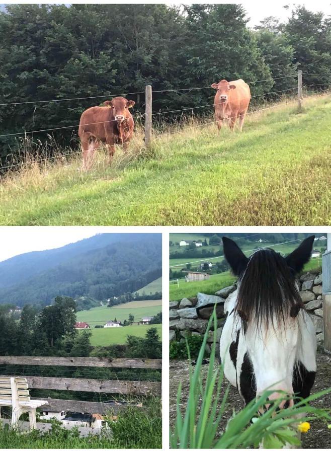 Ferienhaus Am Traunsee Mit Bergsicht เทราน์เคอร์เคน ภายนอก รูปภาพ